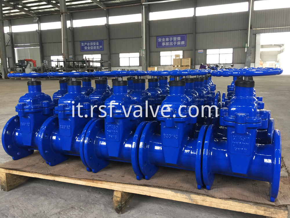 Bs5163 Resilient Seat Gate Valve 1